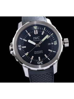 IW* 아쿠아타이머 IW329001