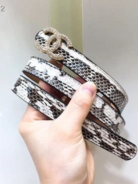 샤* 벨트 넓이 2.0MM C36920