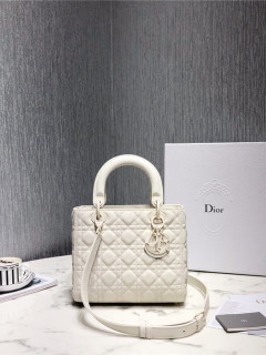  디* 레이디 24CM D0565